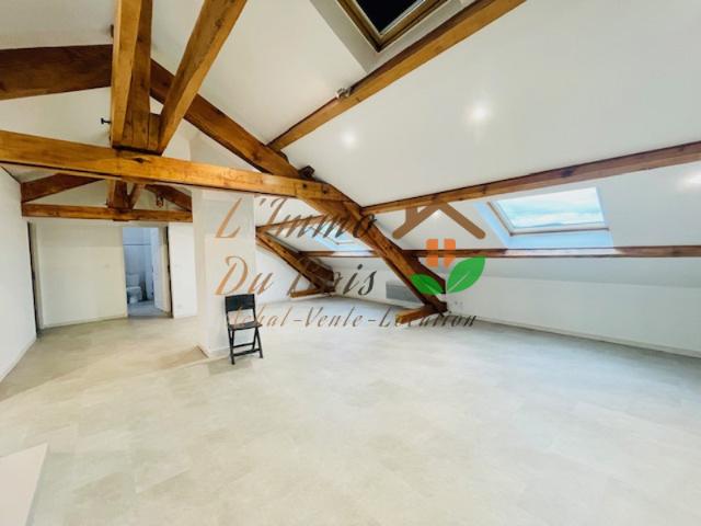 APPARTEMENT ATYPIQUE
