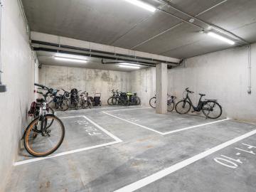 8790, Waregem, Arrondissement de Courtrai, Flandre