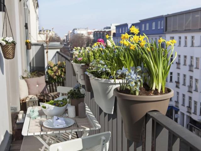 Appartement, Auch