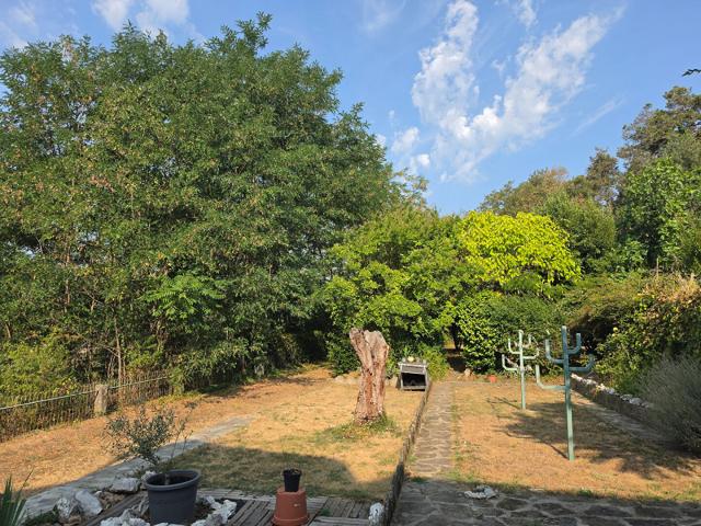 Appartement avec grand terrain