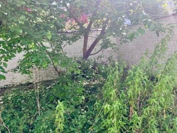 Appartement avec jardin