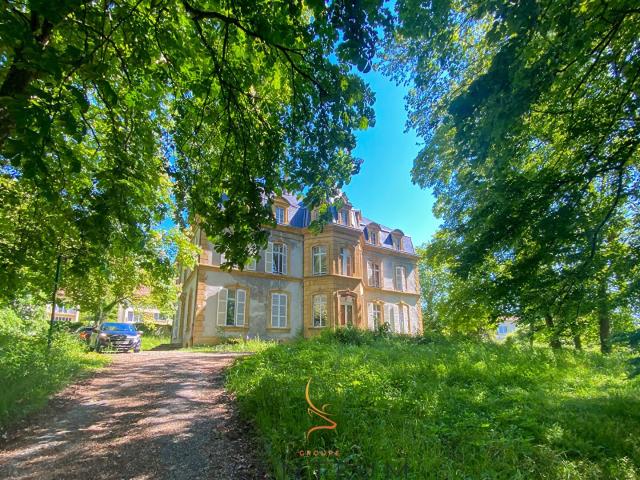 Appartement avec jardin Charme et luminosité dans un château du XIXe siècle à Ars sur Moselle