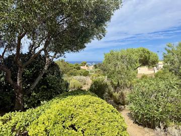 Lumio, Haute-Corse, Corse - Jardin, Terrasse