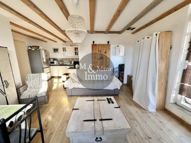Appartement rénové avec toit terrasse