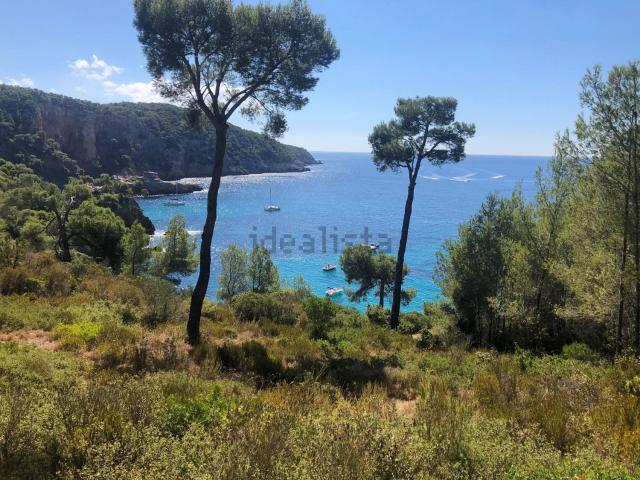 Appartement, Bandol