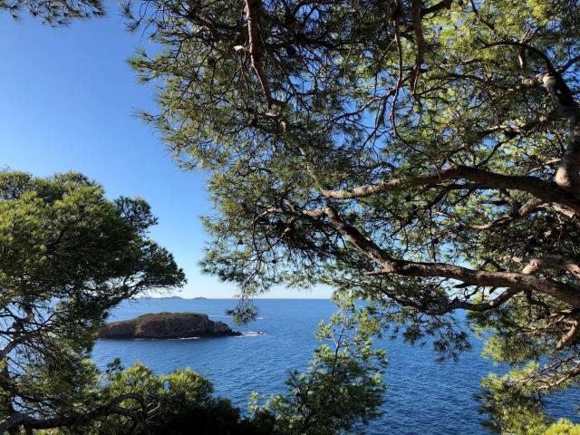 Appartement, Bandol