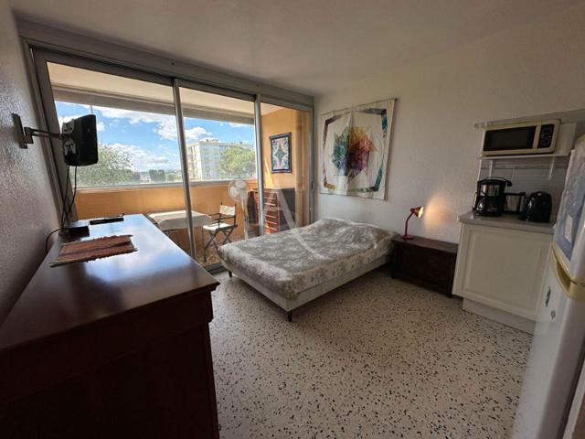 Appartement Balaruc Les Bains 1 pièce s 19 m2 meublé