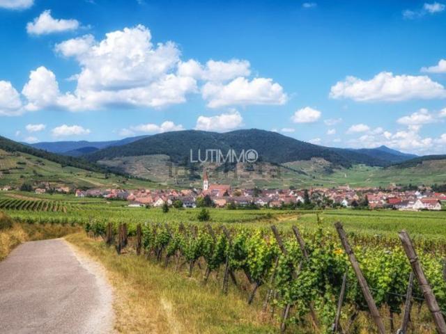 Appartement, Beblenheim