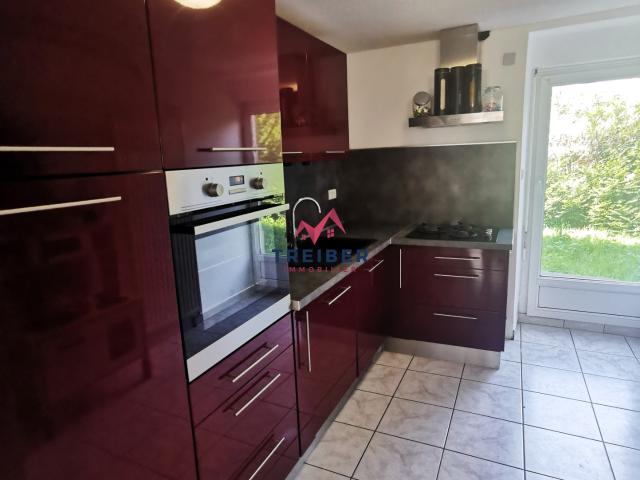 Appartement Belfort proche centre ville avec 100m2 de jardin privatif, 3 chambres