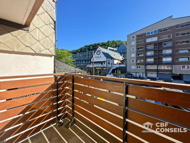 Appartement, Besse et Saint Anastaise