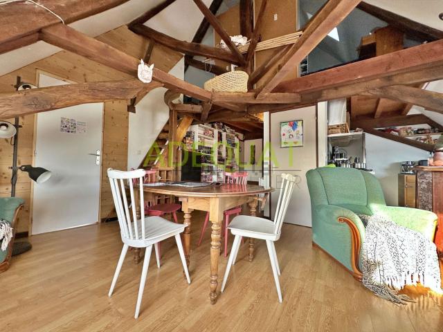 Appartement, Biol