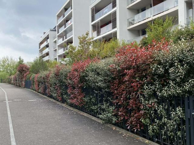 Appartement, Bischheim