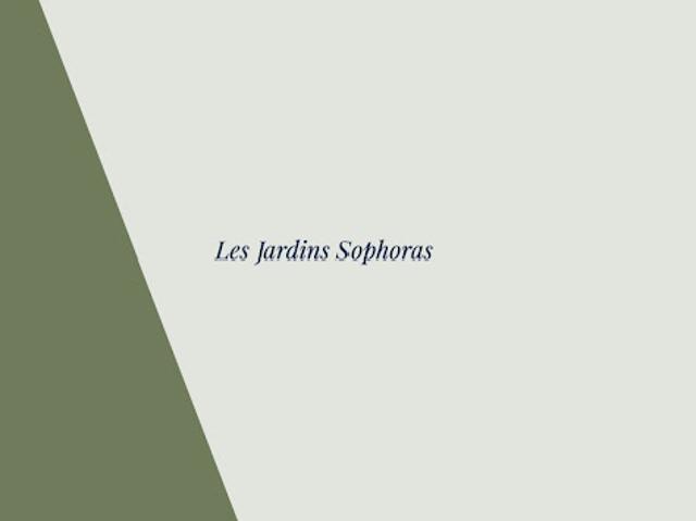 Appartement Bischheim 2 pièces Les Jardins Sophoras