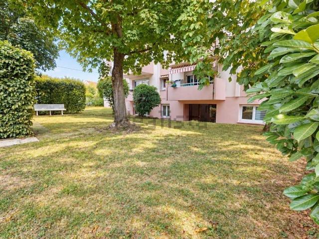 Appartement, Bischheim