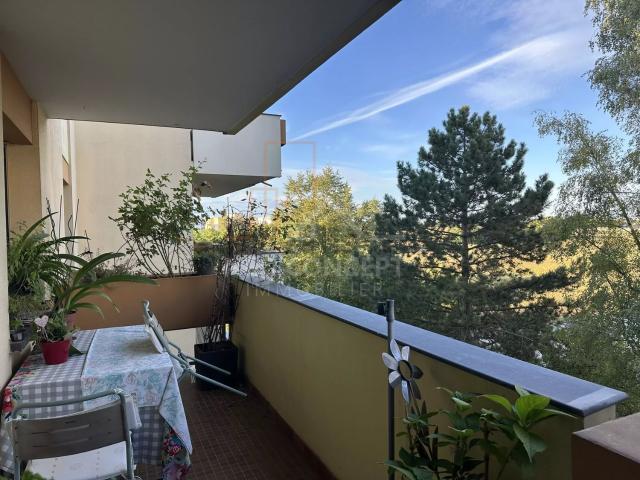 Appartement, Bischheim