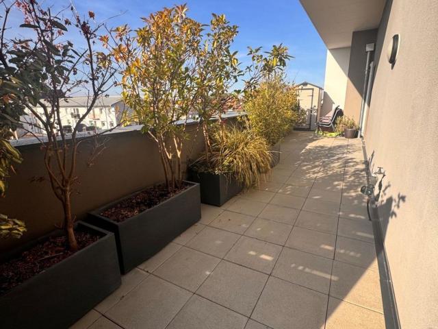Appartement, Bischheim