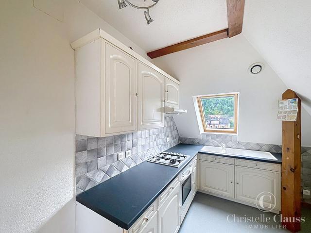 Appartement Bitschwiller Les Thann 2 pièce s 41.03 m2
