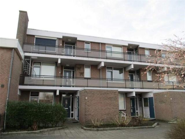 Appartement Botter 17 22, Lelystad À Louer