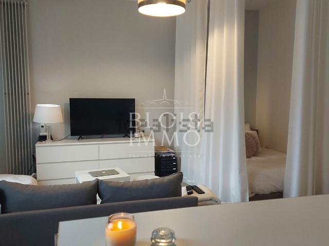 Appartement, Blois