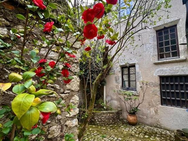 Appartement, Blois