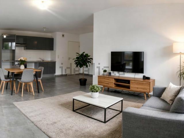 Appartement, Blagnac