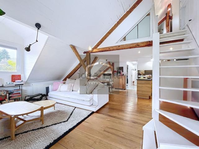 Appartement, Bluffy