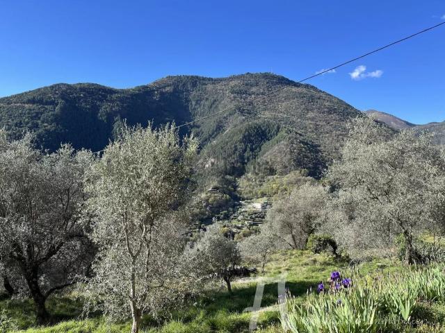 Appartement, Breil sur Roya