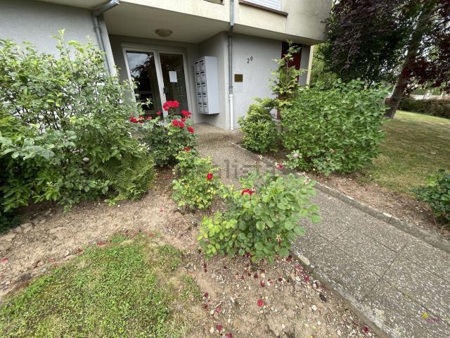 Appartement, Brumath