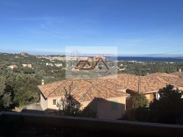 Appartement, Calvi