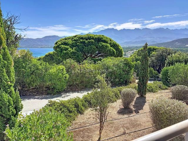Appartement, Calvi