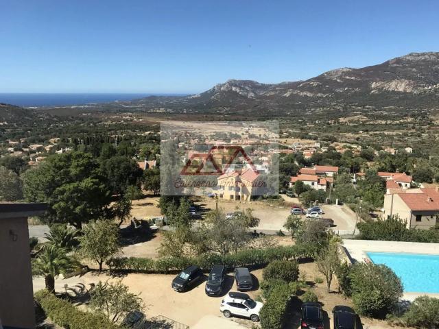 Appartement, Calvi