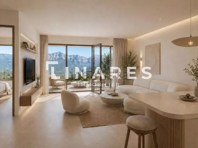 Appartement, Calvi