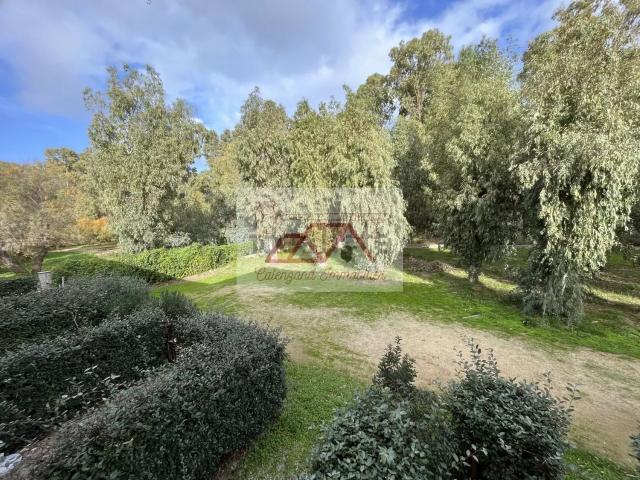 Appartement, Calvi