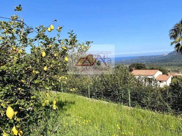 Appartement, Calenzana