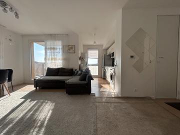 Appartement Carrières Sous Poissy 2 pièce s meublé 42.30 m2