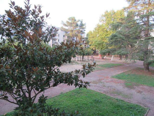 Appartement, Castelnau le Lez