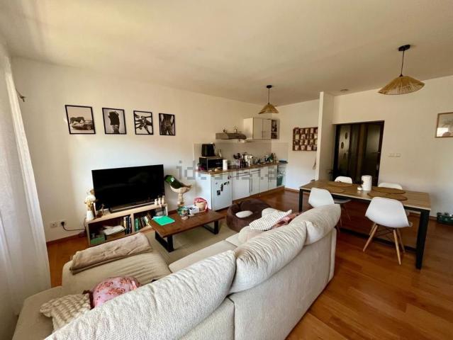 Appartement, Castres