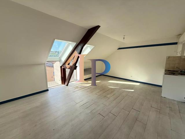 APPARTEMENT CENTRE VILLE