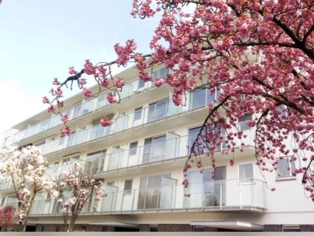 Appartement Celestijnenlaan