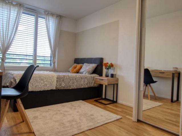 Appartement Coliving Spacieux à Crissier