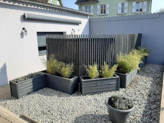 Appartement, Colmar