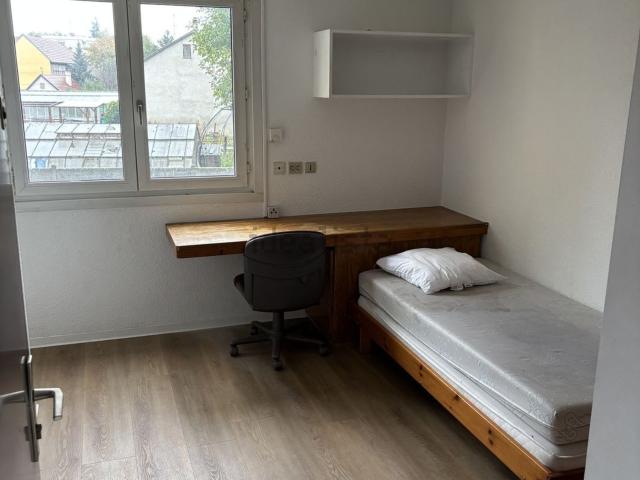 Appartement, Colmar