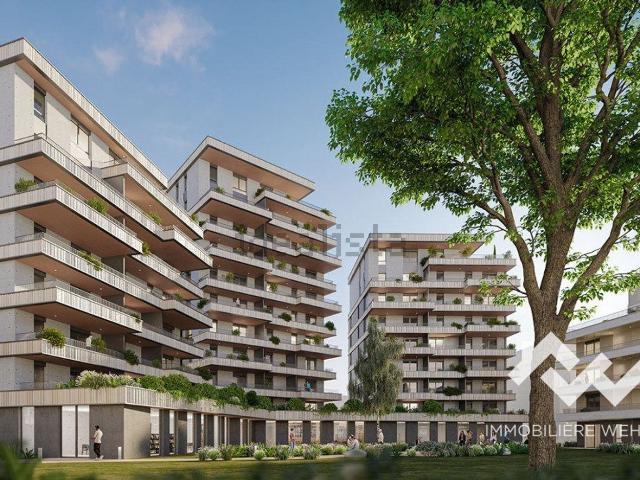 Appartement, Colmar