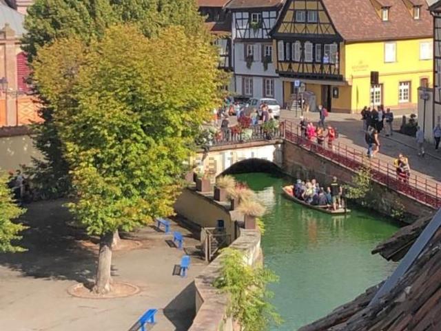 Appartement, Colmar