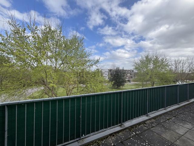 Appartement, Cornebarrieu