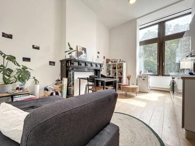 Appartement cosy 1 chambre