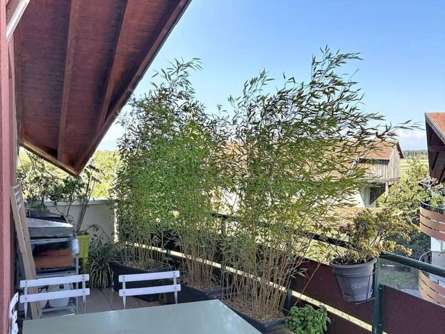 Appartement, Cranves Sales