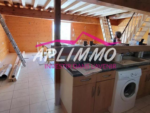 T3 dans magnanerie + T1 possible 117m² Puy Saint Martin