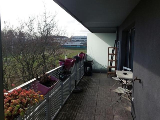Appartement de 40m2 à louer sur Bagneux