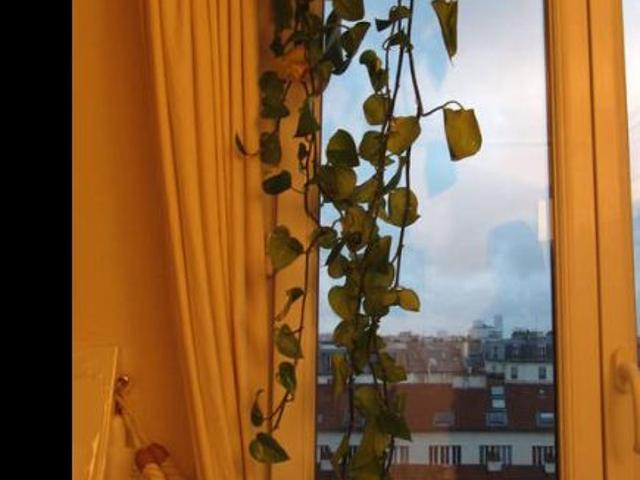 Appartement de 40m2 à louer sur Paris 11